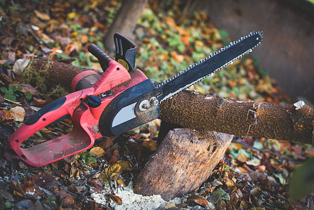 How Our Tree Care Process Works  in  Gering, NE